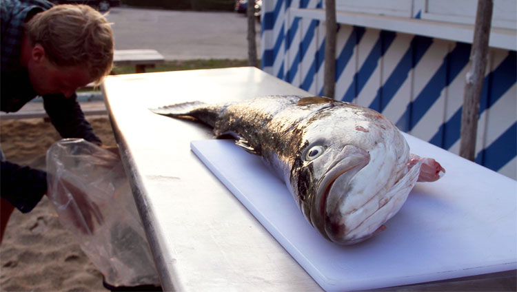 Website-Image-Comps_FishingTrip_08.jpg